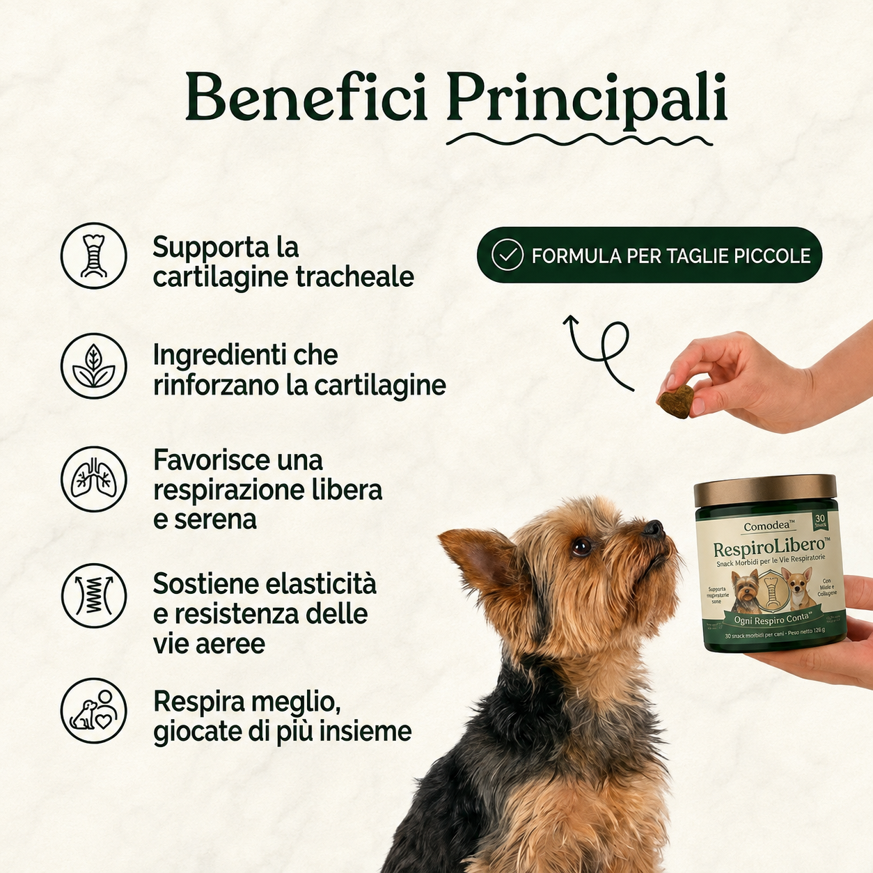 Comodea RespiroLibero — snack morbidi per le vie respiratorie dei cani di taglia piccola
