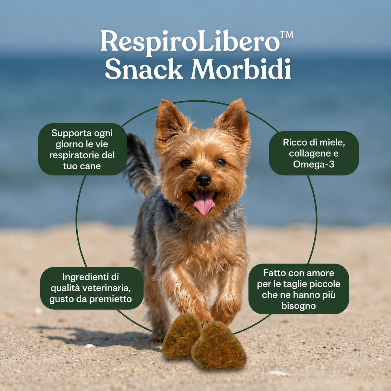 Comodea RespiroLibero — snack morbidi per le vie respiratorie dei cani di taglia piccola