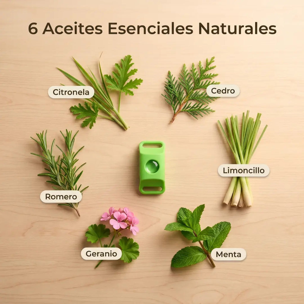 6 oli essenziali naturali
