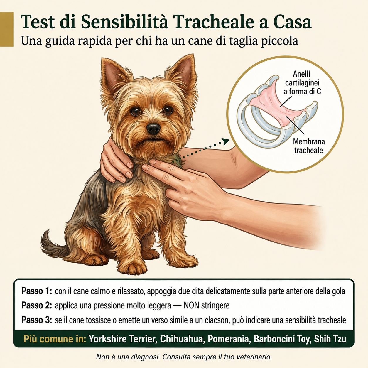 Comodea RespiroLibero — snack morbidi per le vie respiratorie dei cani di taglia piccola