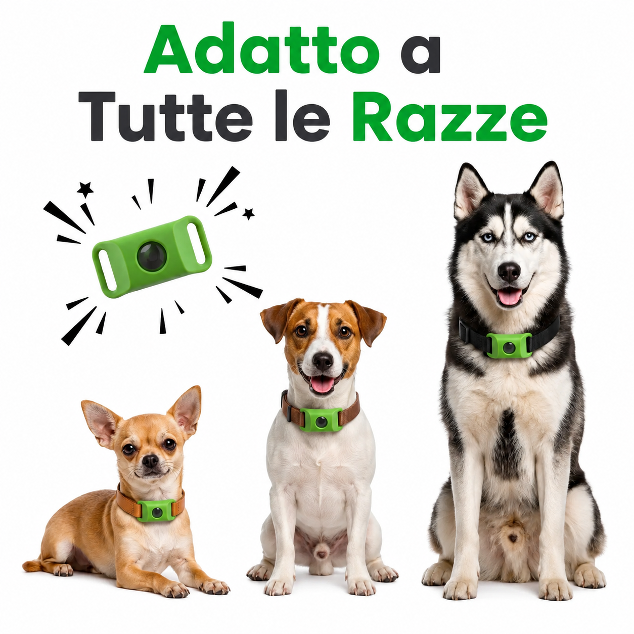 Adatto a tutte le razze