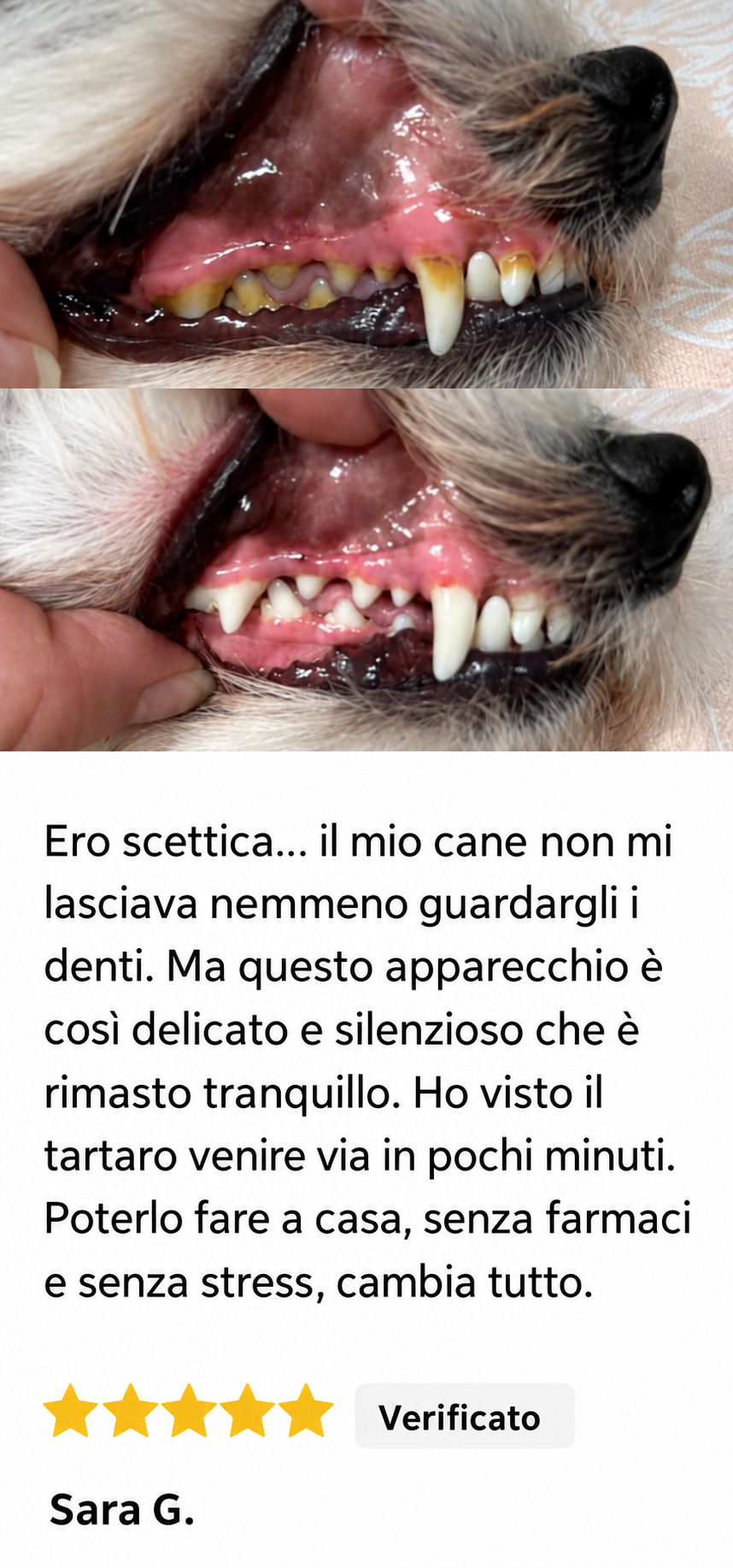 Recensione di un cliente