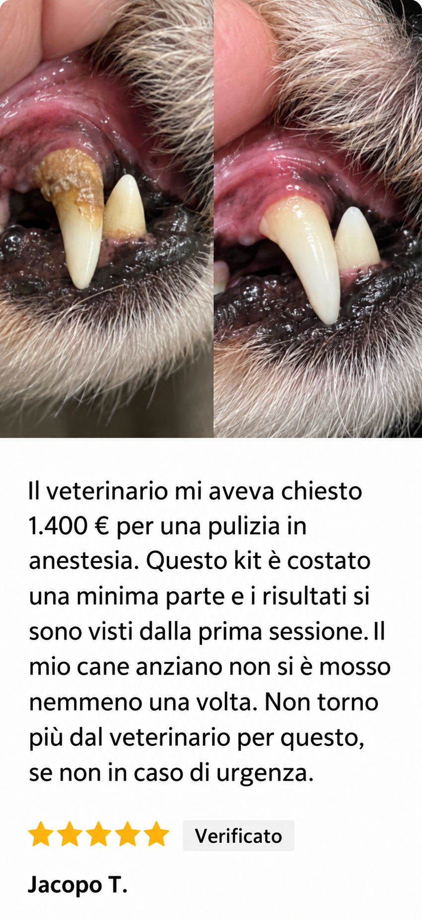 Recensione di un cliente