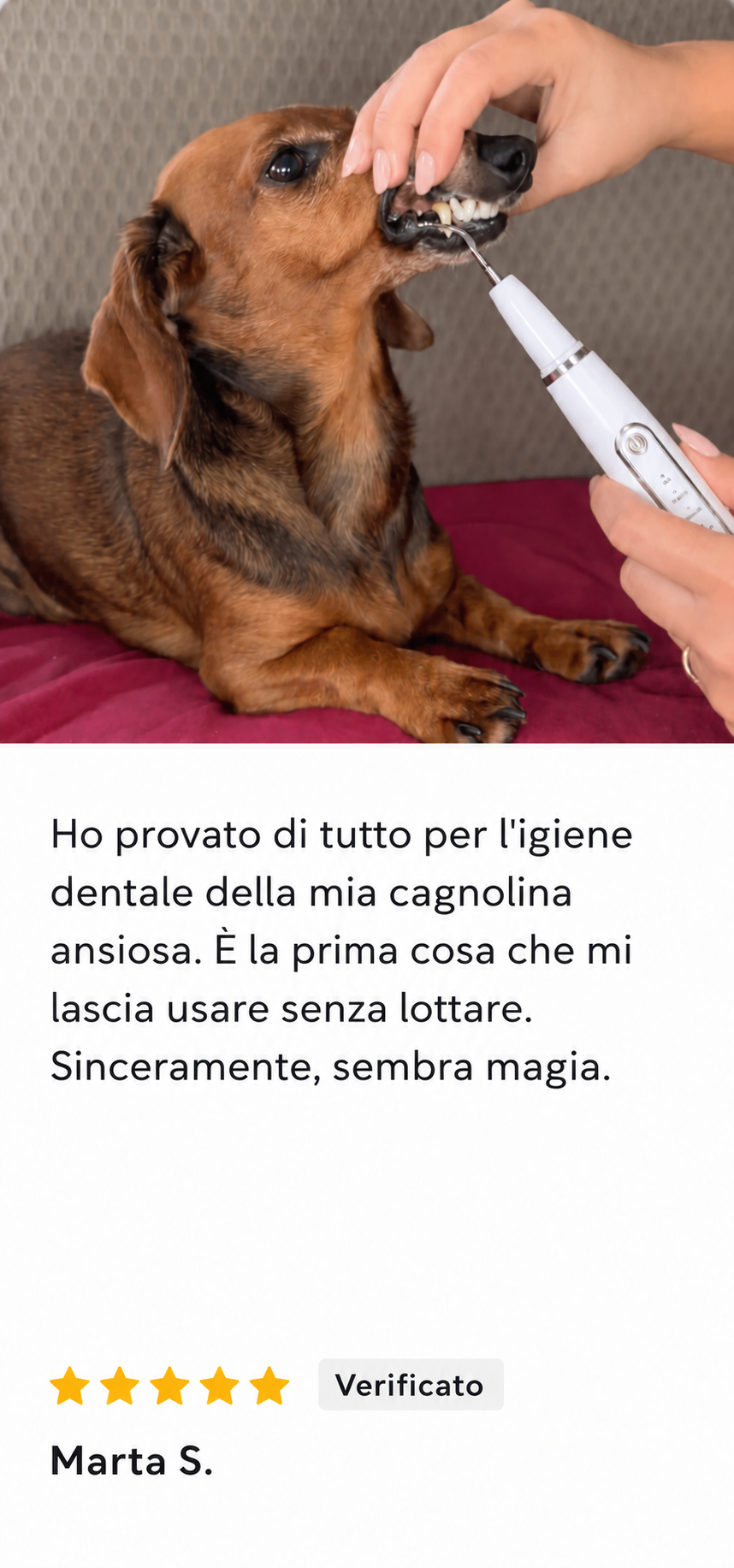 Recensione di un cliente