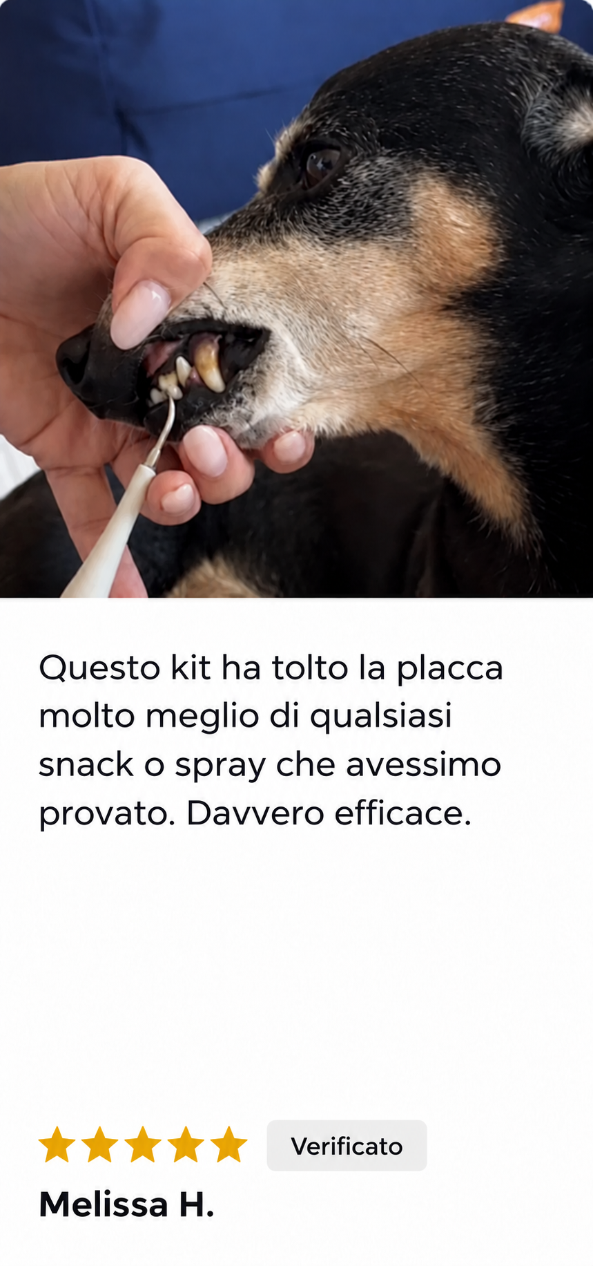 Recensione di un cliente