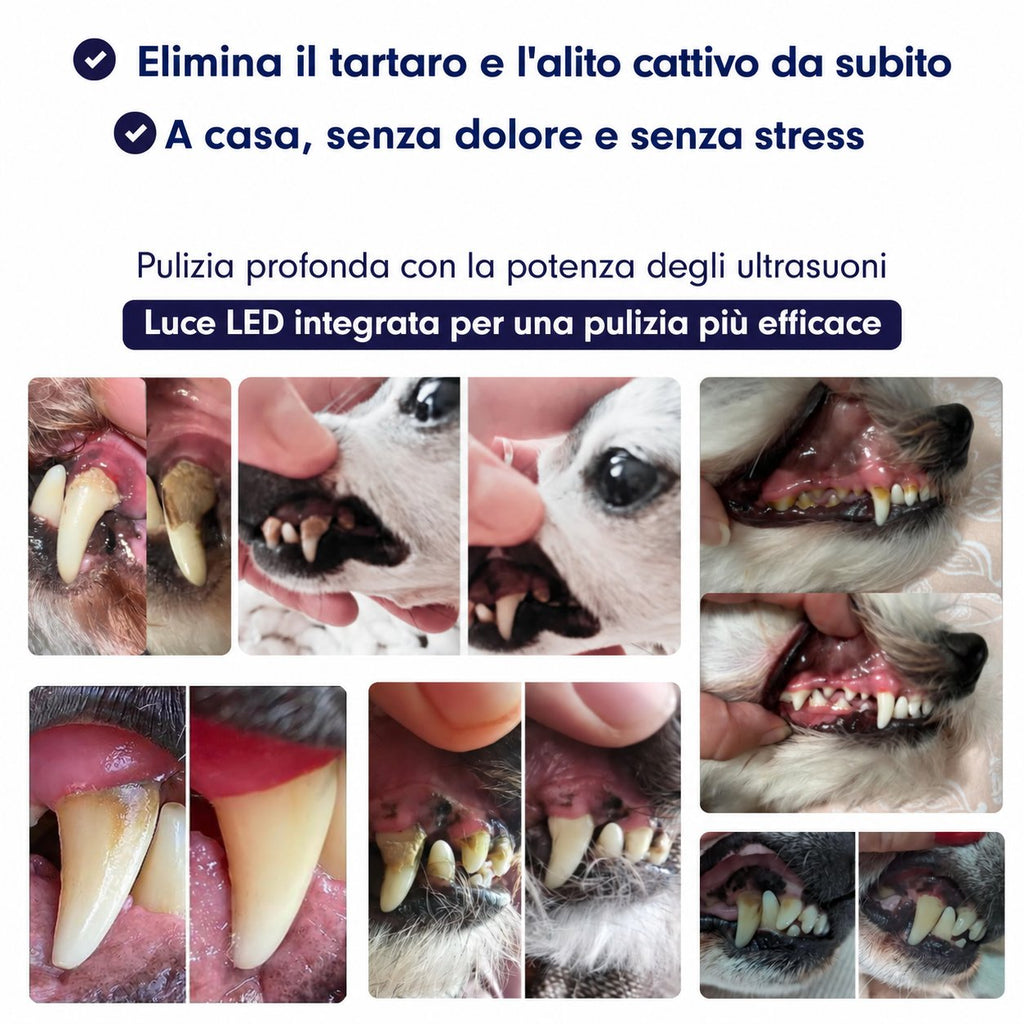 Comodea Dental