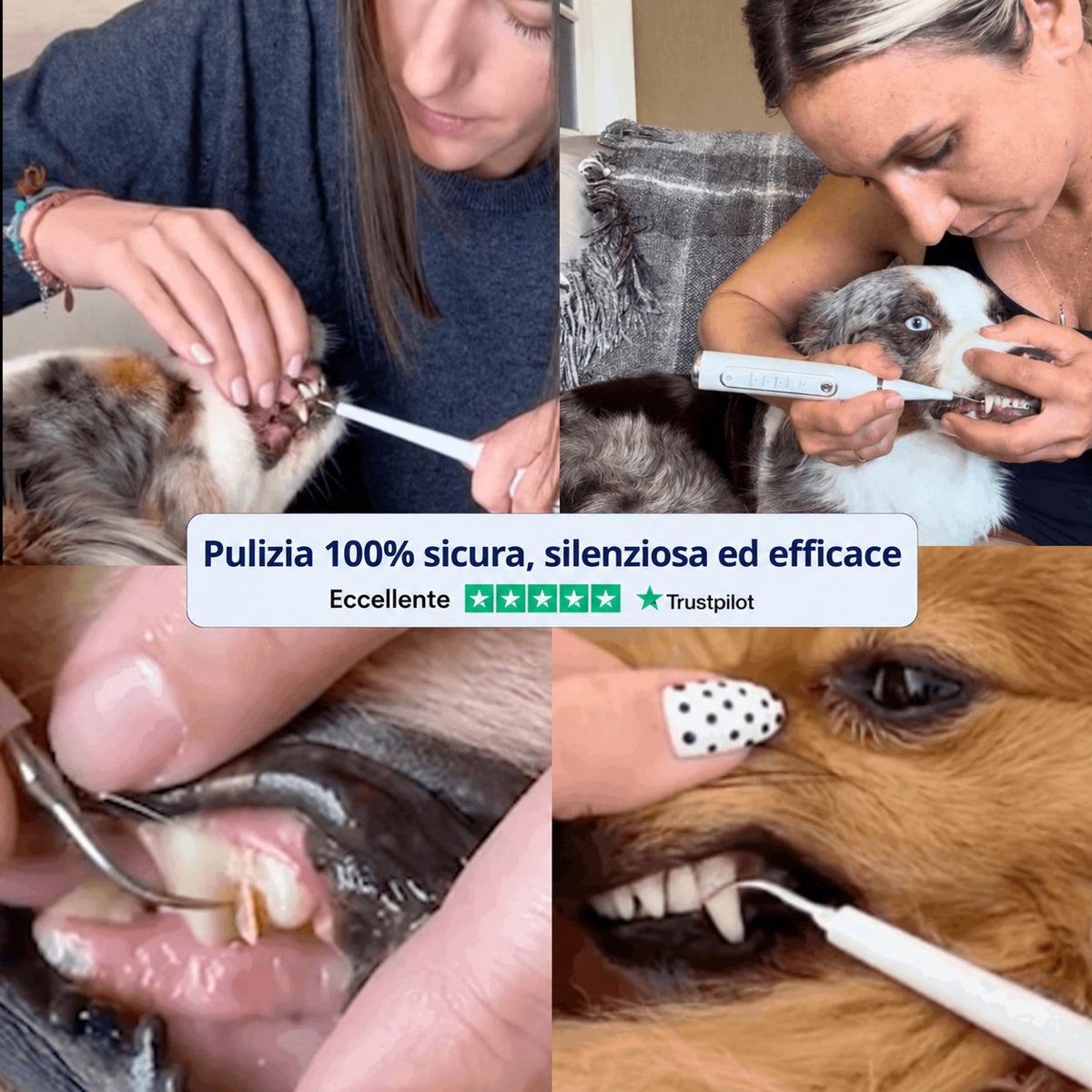 Comodea Dental
