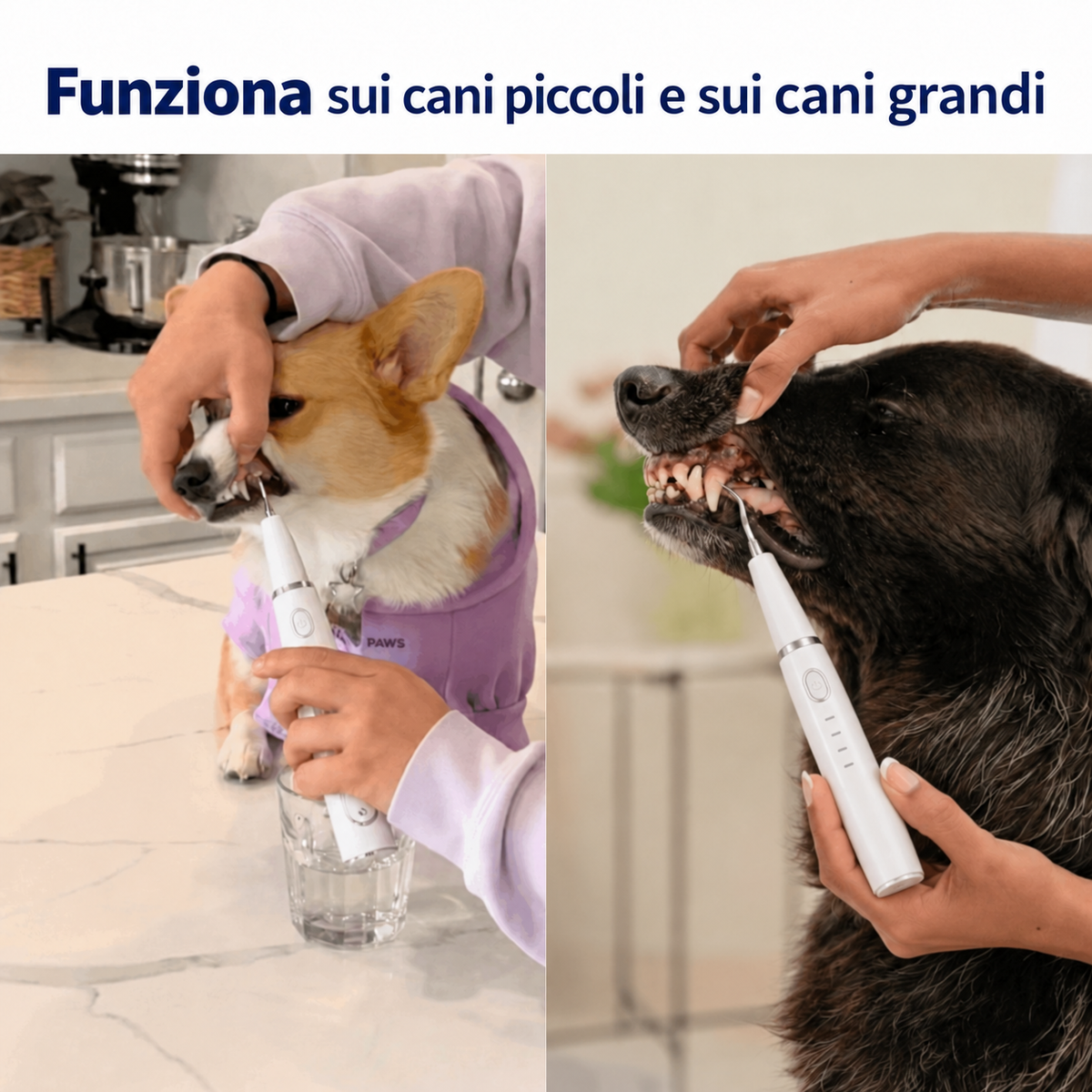 Comodea Dental