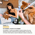Comodea Dental