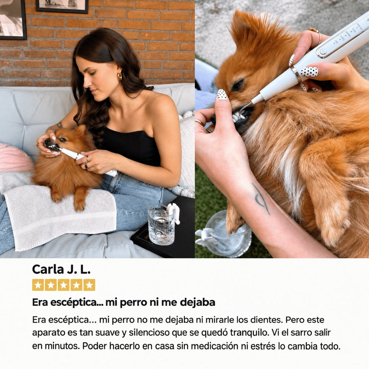 Comodea Dental
