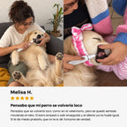 Comodea Dental