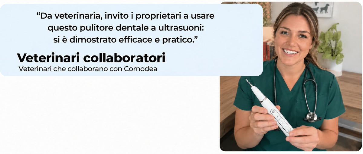 Citazione di una veterinaria sul pulitore dentale a ultrasuoni