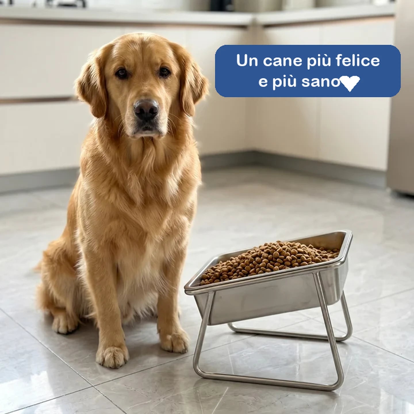Il tuo cane non è malato. Sta lottando contro la gravità.