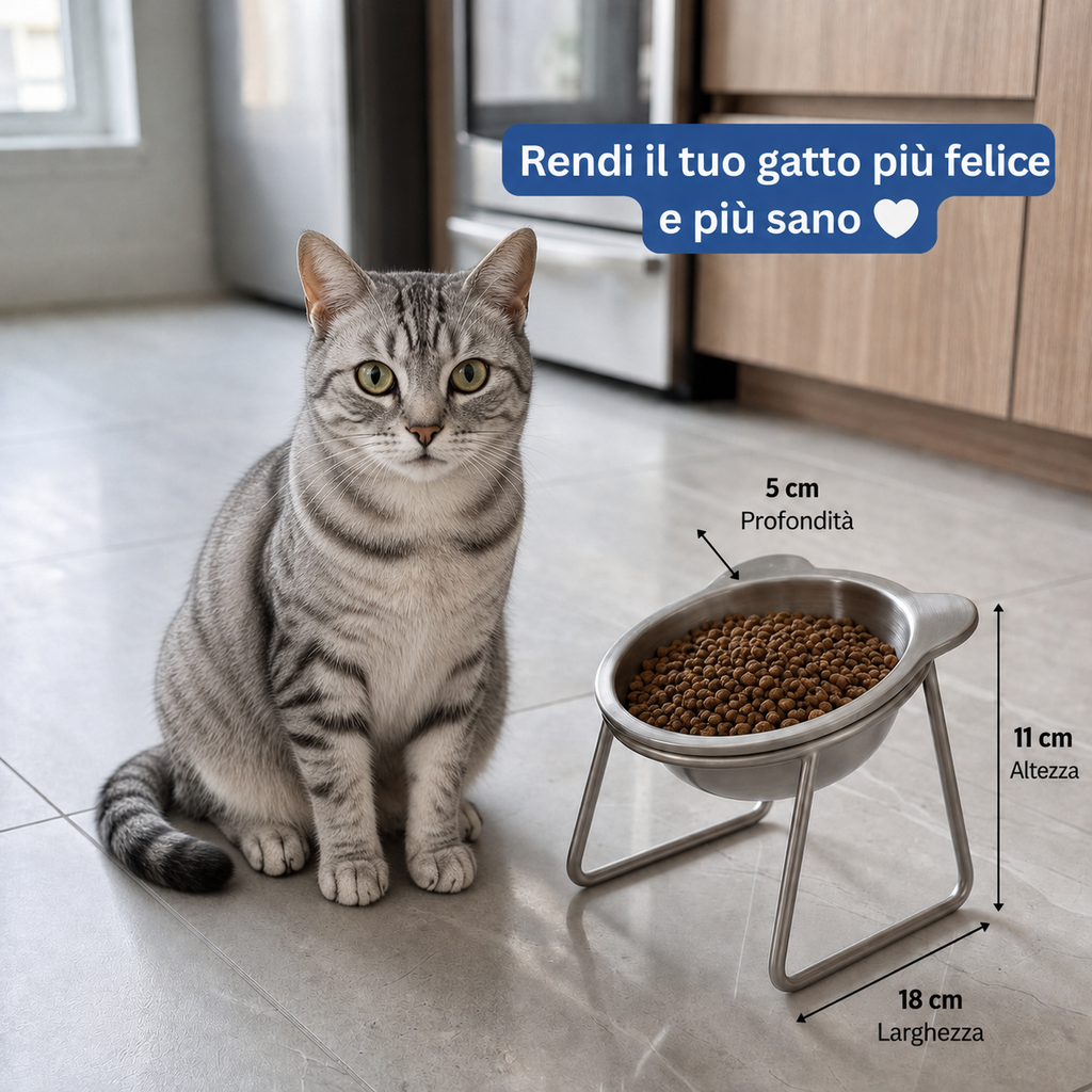 Gatto europeo accanto alla ciotola ortopedica rialzata Comodea — rendi il tuo gatto più felice e più sano (18 cm di larghezza, 11 cm di altezza, 5 cm di profondità)