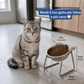 Gatto europeo accanto alla ciotola ortopedica rialzata Comodea — rendi il tuo gatto più felice e più sano (18 cm di larghezza, 11 cm di altezza, 5 cm di profondità)