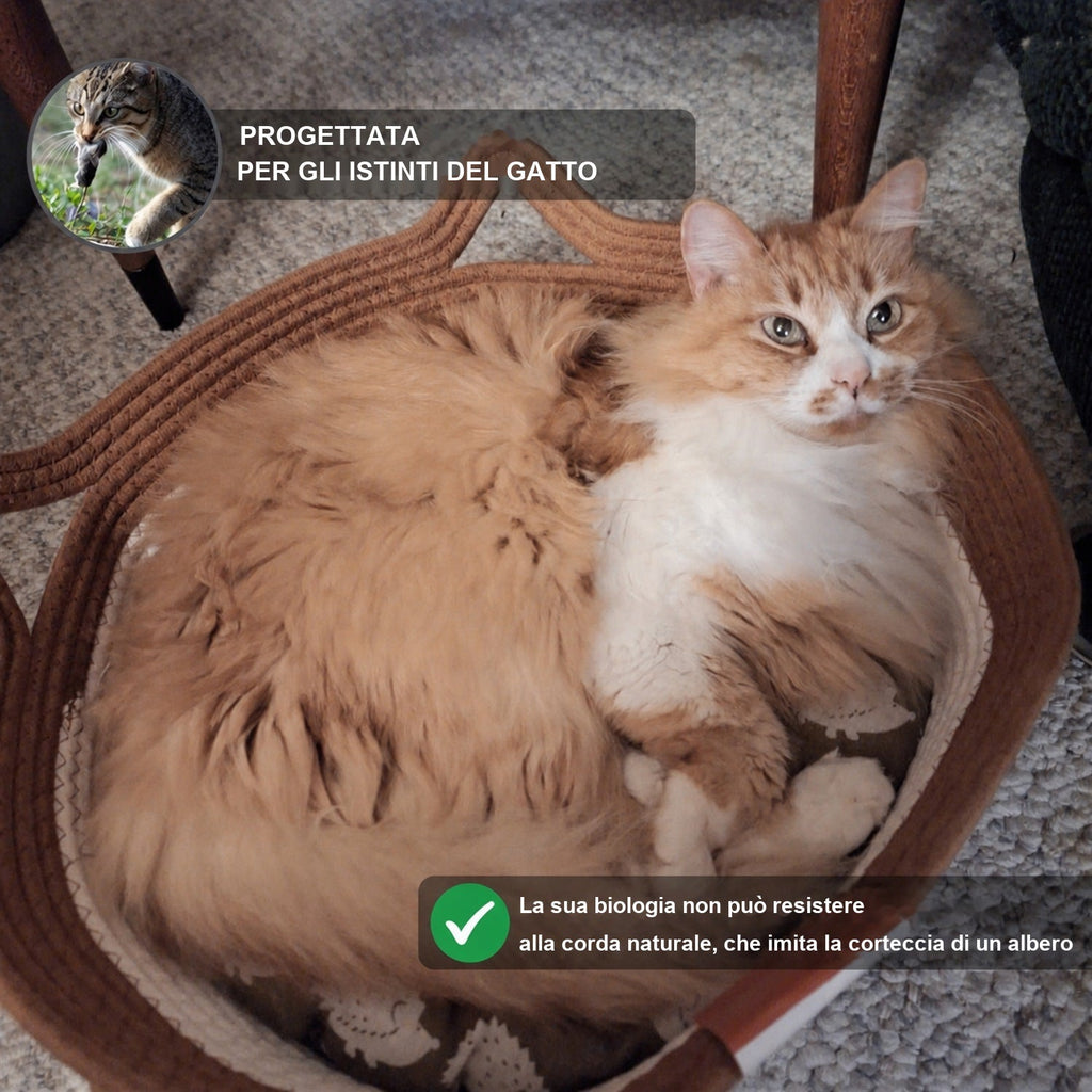 Gatto rosso a pelo lungo disteso nella Cesta Istinto, progettata per gli istinti del gatto