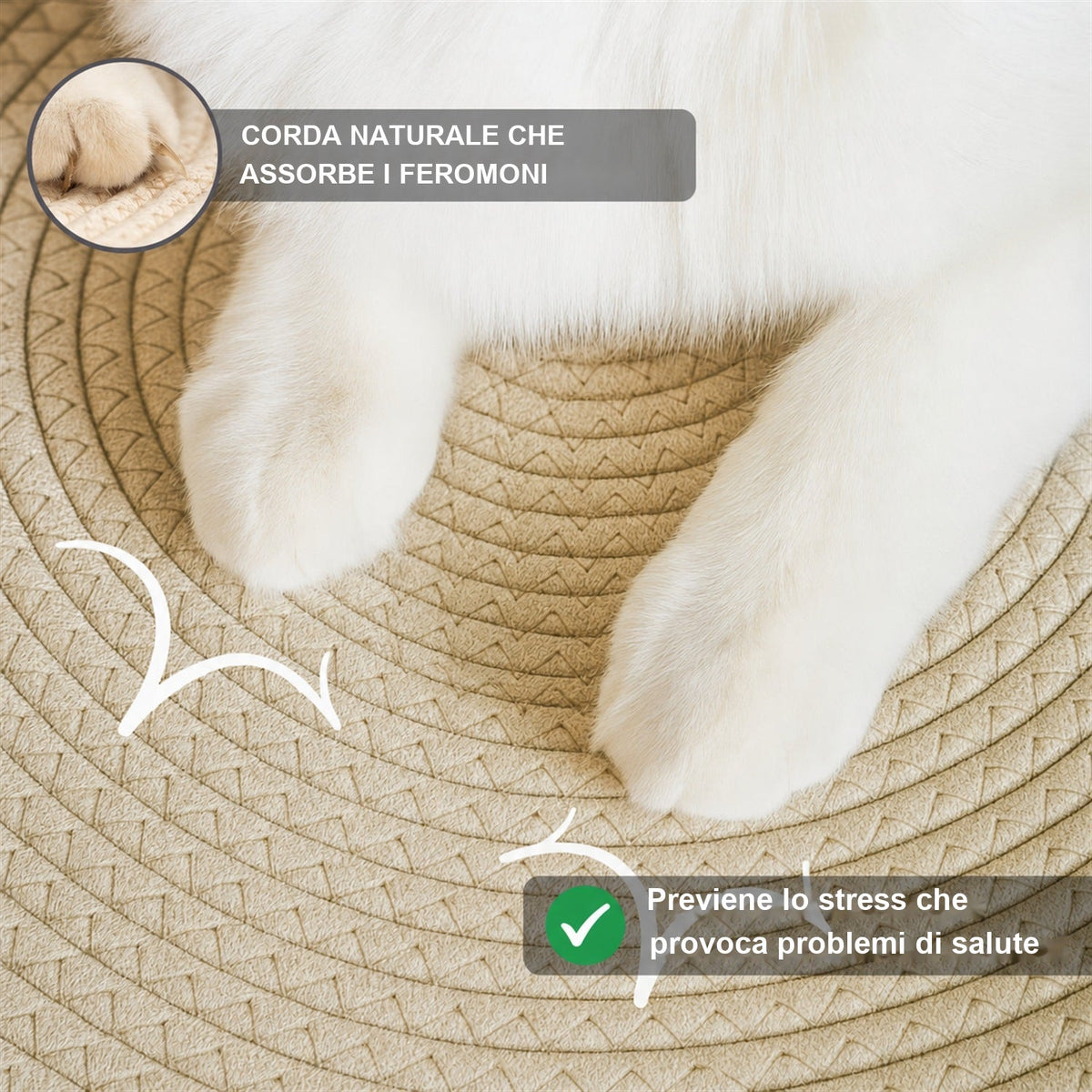 Zampe di un gatto bianco sulla corda naturale della Cesta Istinto, che assorbe i feromoni