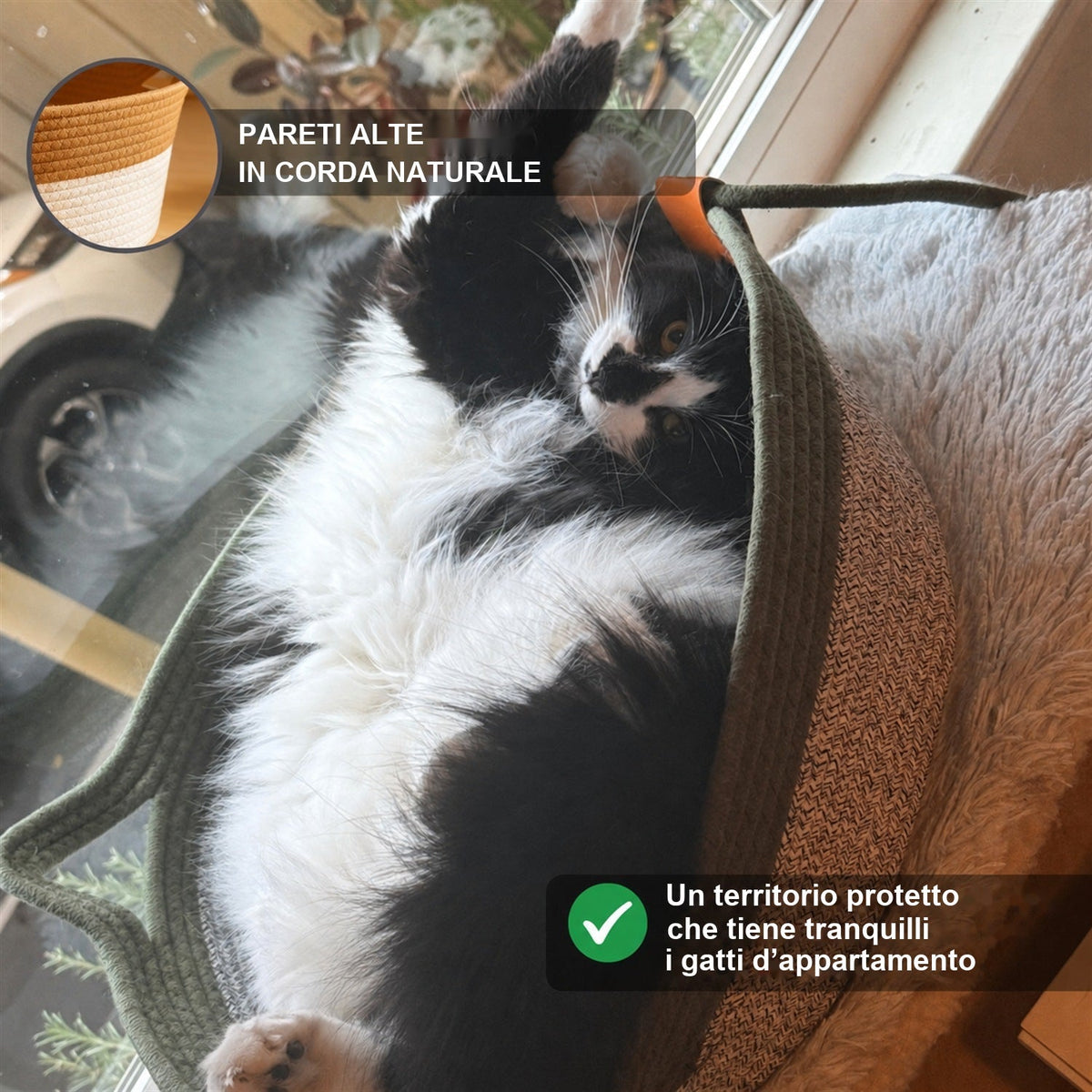 Gatto bianco e nero rannicchiato contro le pareti alte in corda naturale della Cesta Istinto