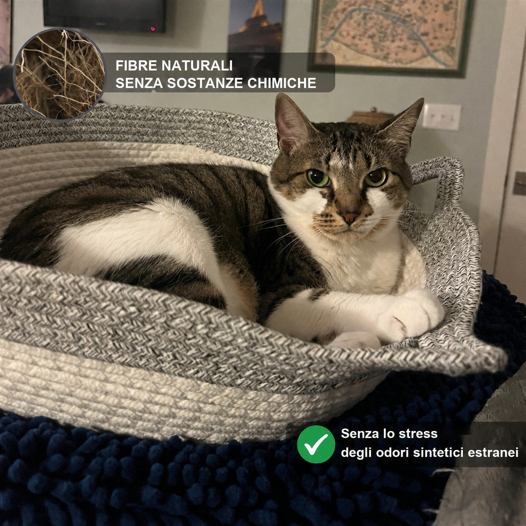 Gatto soriano rilassato nella Cesta Istinto, fibre naturali senza sostanze chimiche
