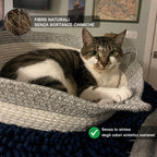 Gatto soriano rilassato nella Cesta Istinto, fibre naturali senza sostanze chimiche