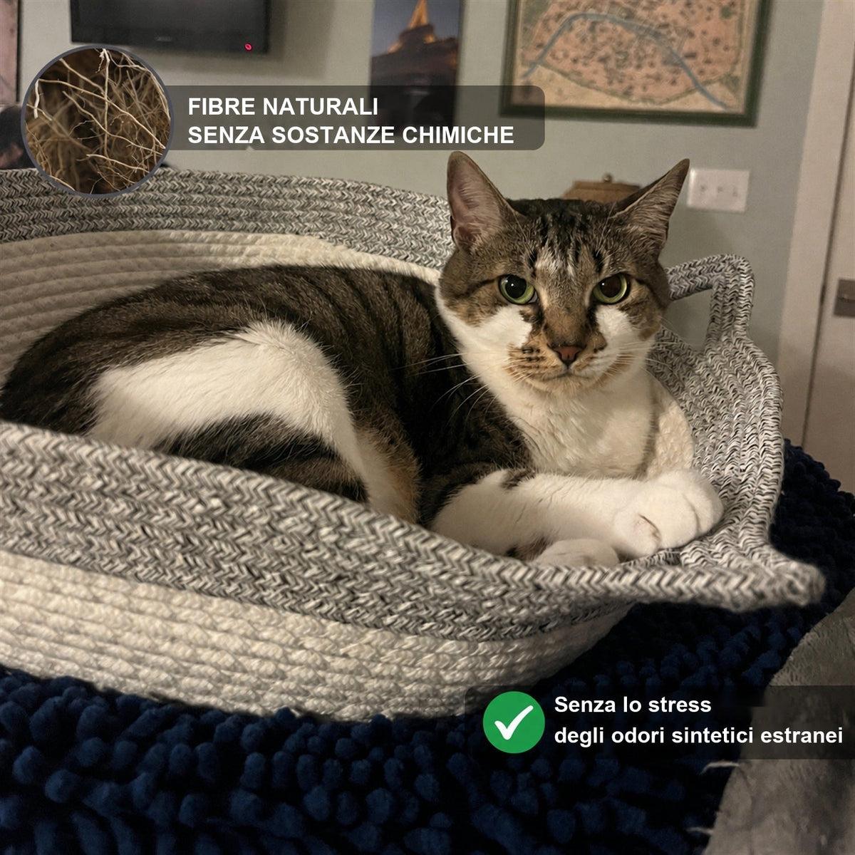 Gatto soriano rilassato nella Cesta Istinto, fibre naturali senza sostanze chimiche