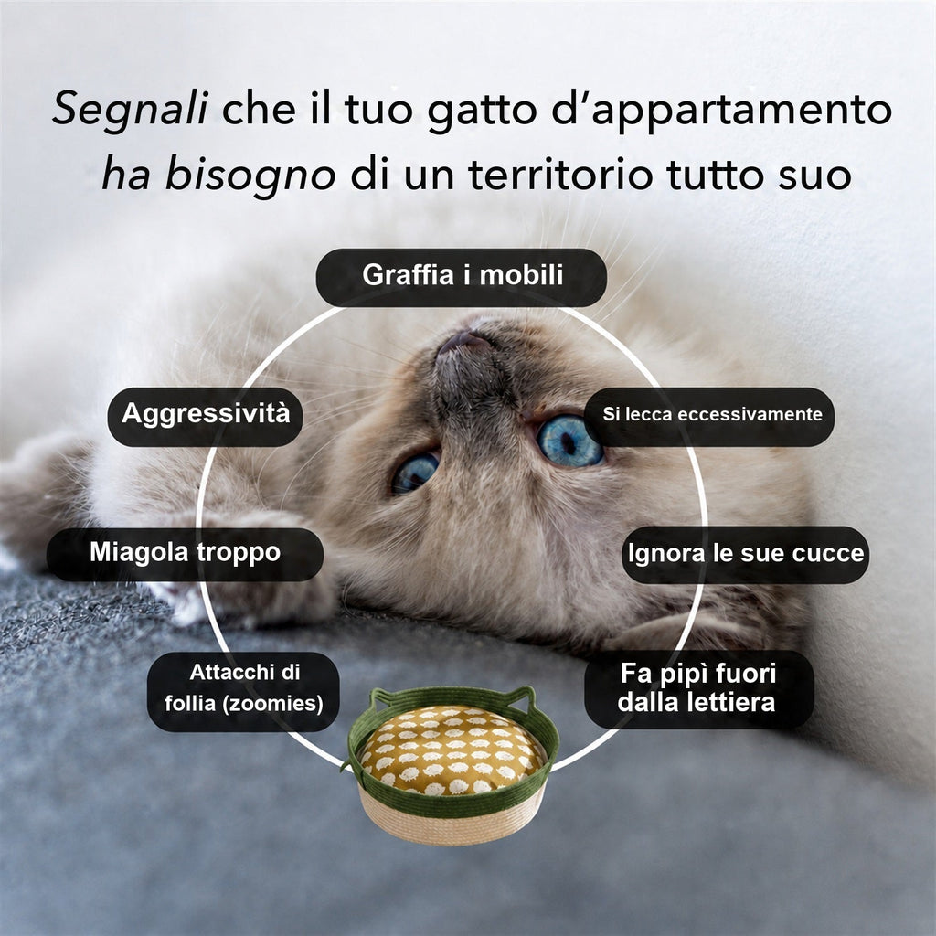 I segnali che indicano che un gatto d'appartamento ha bisogno di un territorio tutto suo