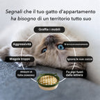 I segnali che indicano che un gatto d'appartamento ha bisogno di un territorio tutto suo