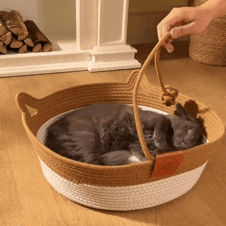Il tuo gatto ha un territorio vero?