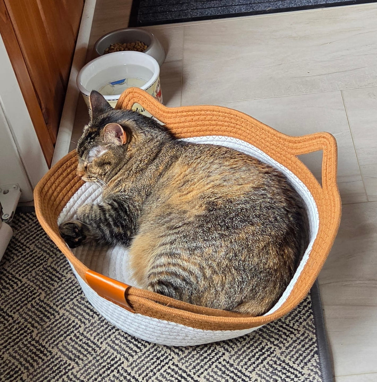 Questi pelosetti adorano la nostra cesta