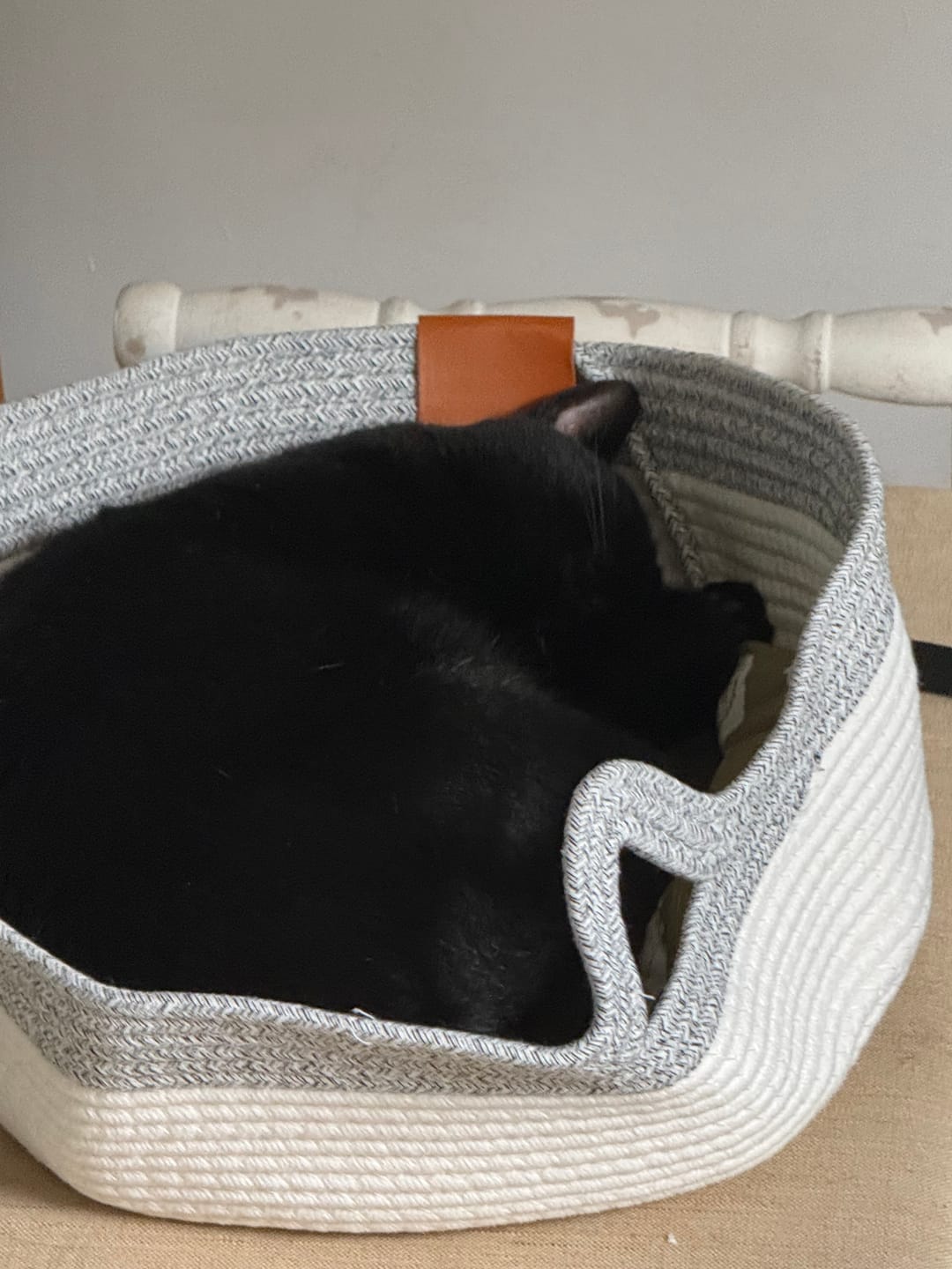 Questi pelosetti adorano la nostra cesta