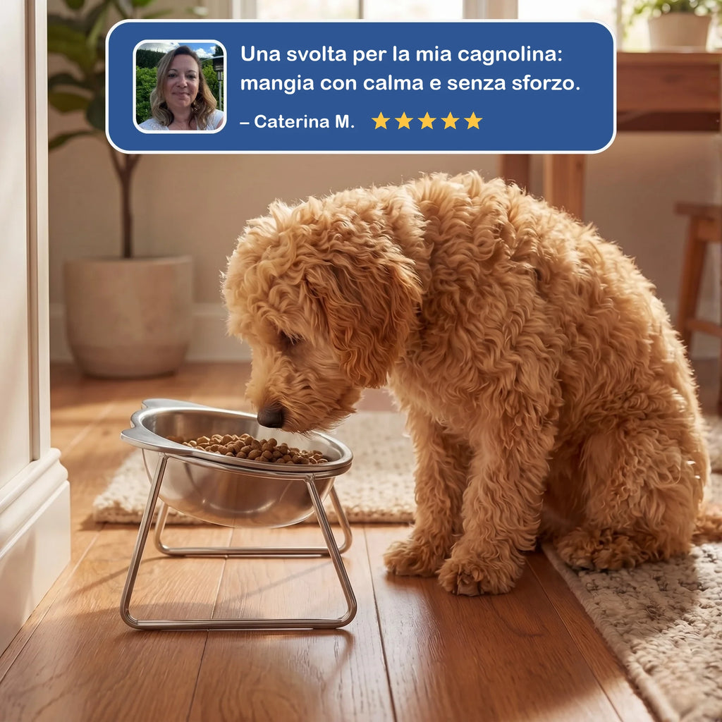 Recensione cliente: una svolta per la mia cagnolina, mangia con calma e senza sforzo
