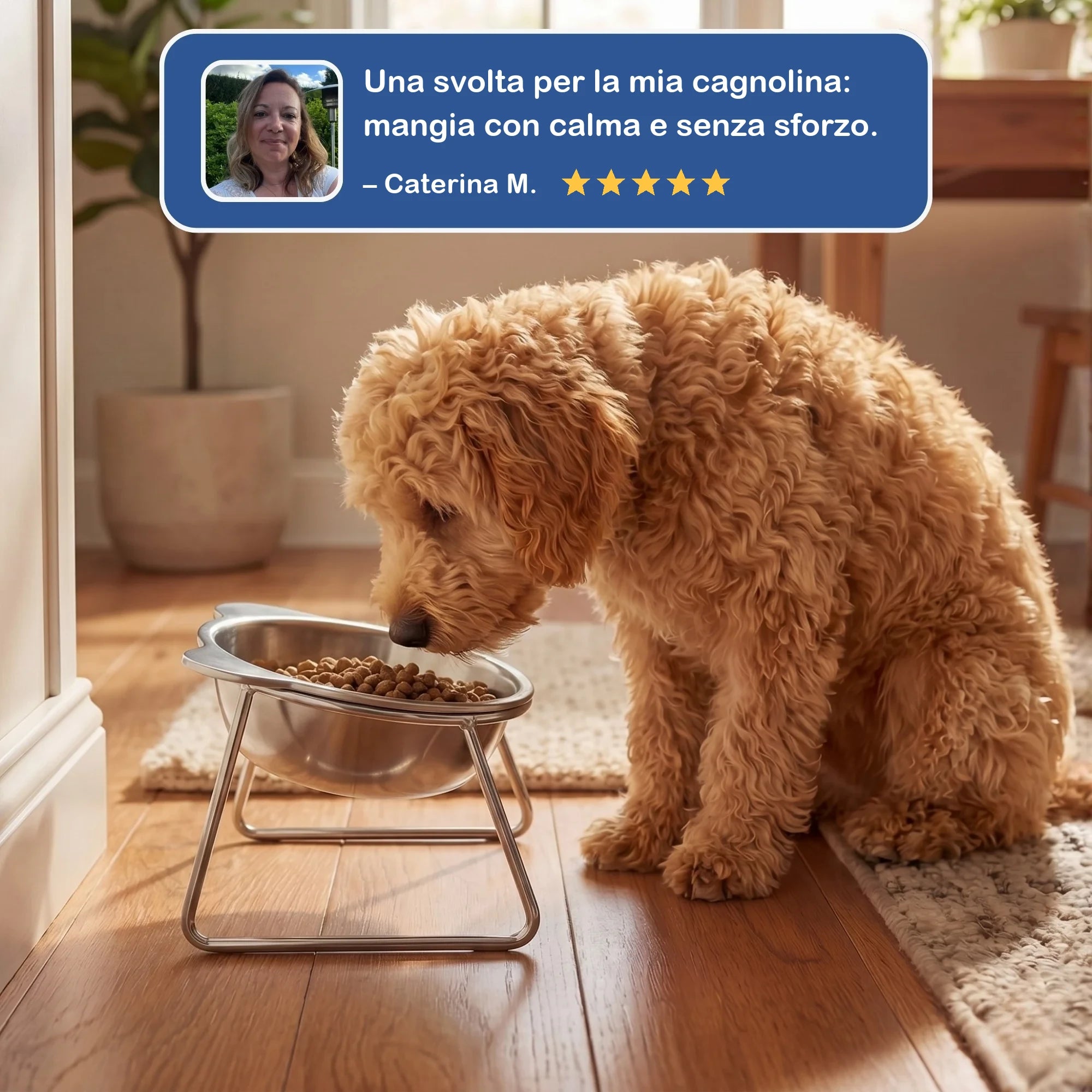Recensione cliente: una svolta per la mia cagnolina, mangia con calma e senza sforzo