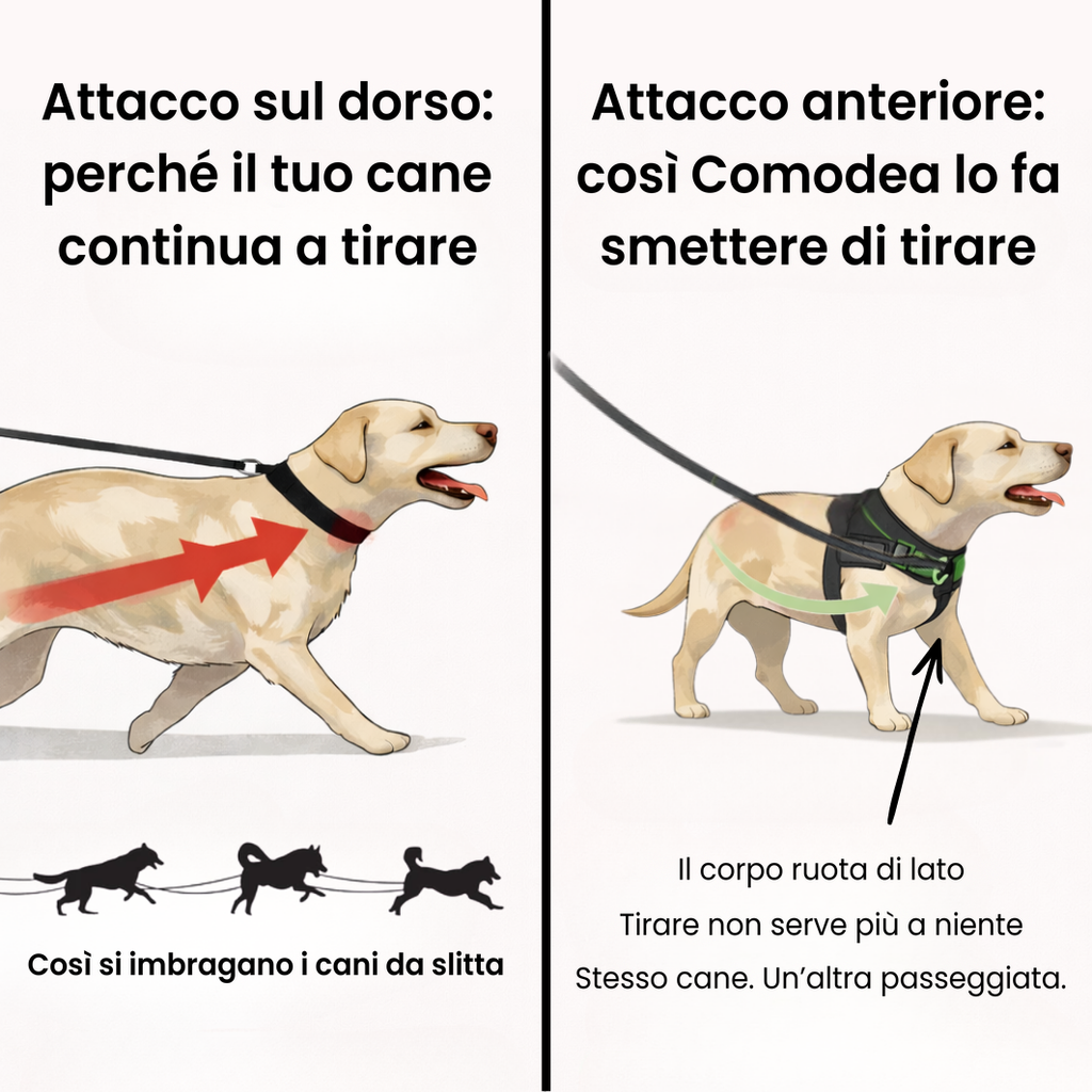 Pettorina Antitiro per Cani