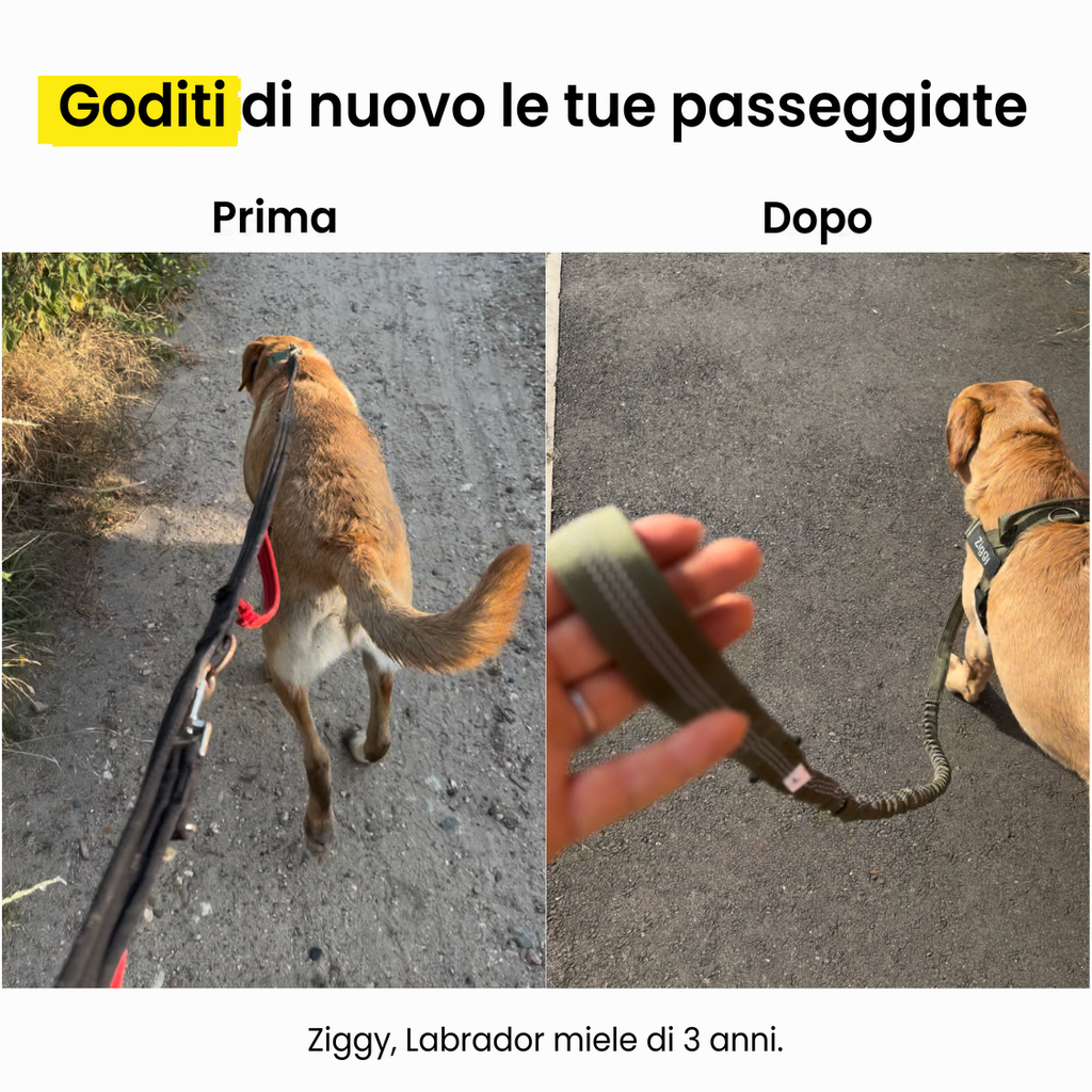 Pettorina Antitiro per Cani