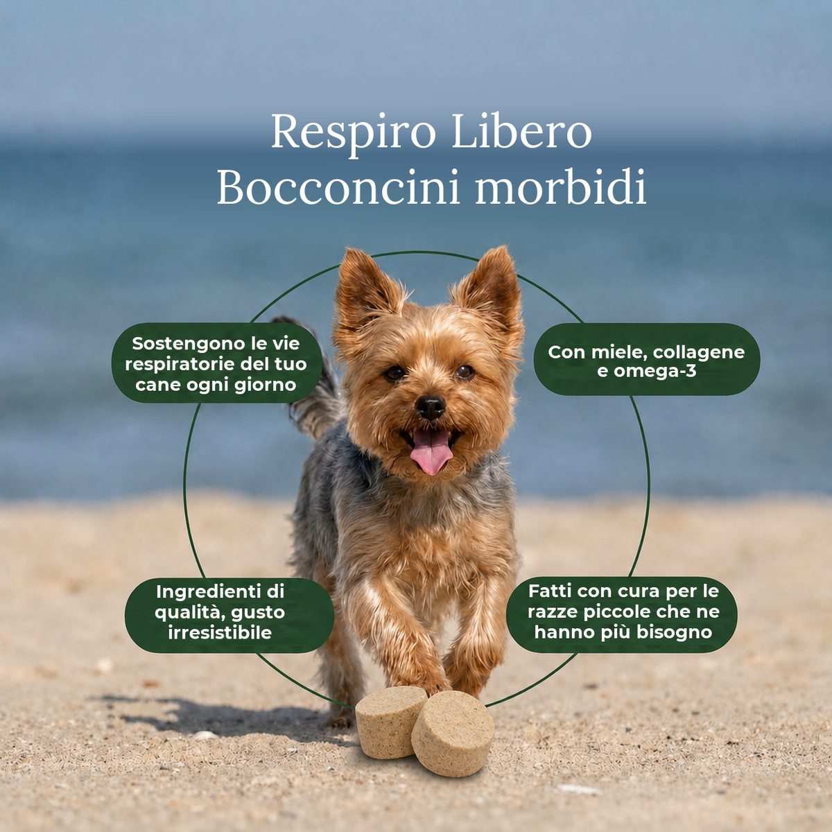 Respiro Libero, bocconcini morbidi per cani di piccola taglia