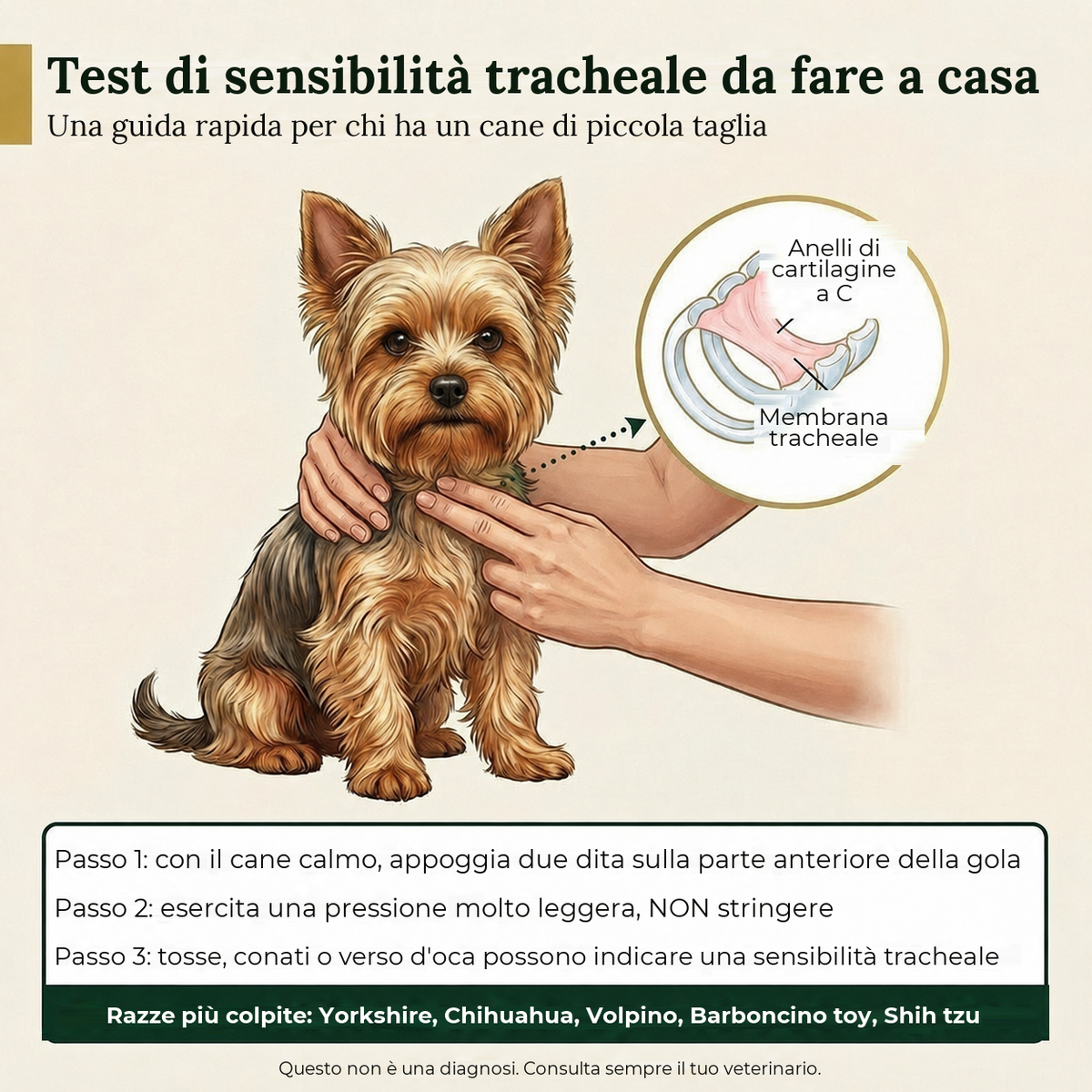Test di sensibilità tracheale da fare a casa