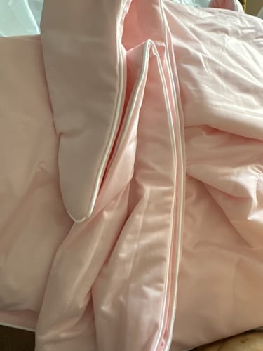 Foto della recensione di Eva