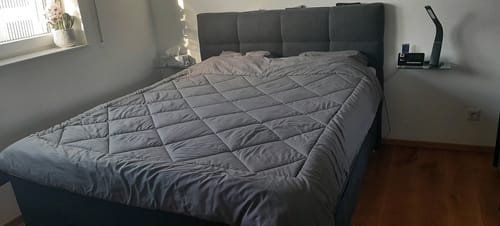 Foto della recensione di Fiedler
