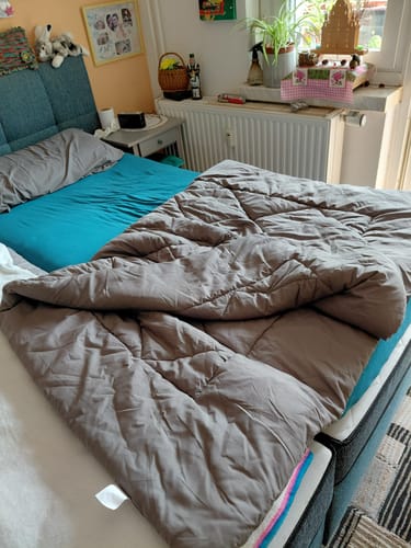 Foto della recensione di Paul
